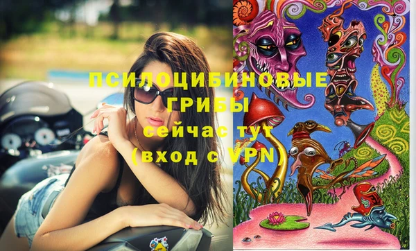 мдпв Алзамай