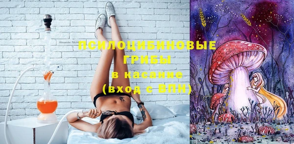 МДПВ Алексеевка