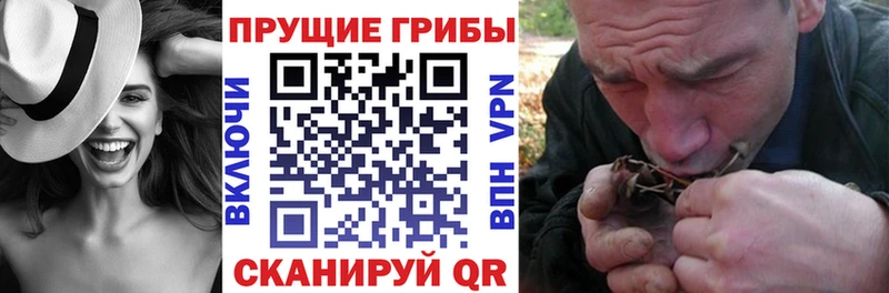 сколько стоит  ОМГ ОМГ ссылка  Псилоцибиновые грибы Cubensis  Тобольск 